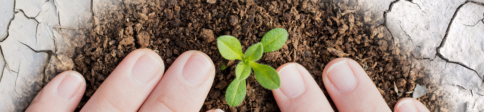 必赢·网络游戏平台-(中国游)有限公司